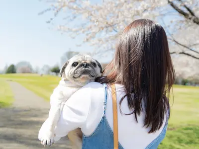 大切なご家族さまの瞬間撮影-感動の一枚を撮影します-