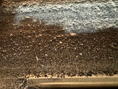 エアコンクリーニングはオリコン顧客満足度５年連続１位の｢おそうじ革命｣