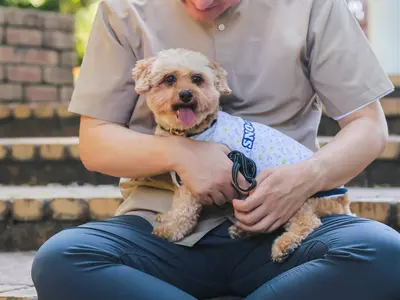 <割引有>ペットとのかけがえのない“今”を、 やさしく丁寧に写しとる写真時間