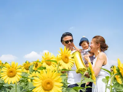 楽しくファミリー写真！自然な風景を撮影します！ハイクオリティ×楽しい時間