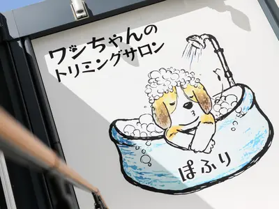 《インボイス対応済》グランプリ受賞歴多数のカメラマンが撮影！ご依頼はコトノハへ♪