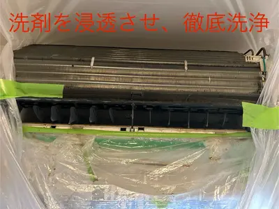 カビを撃退で、清らかな空間はいかがですか？【消臭、防カビコートサービス】