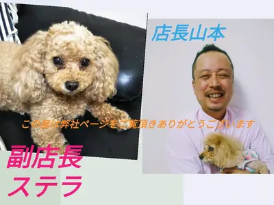 ■■■11月施工残りわずか感謝感謝です年内施工ご予約お早めに■■■■■■