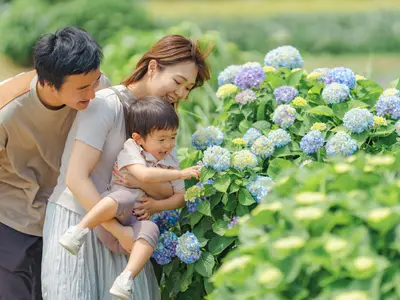 予約対応～撮影・納品まで当社スタッフがすべて対応します