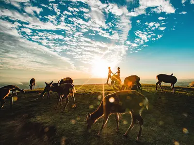 フォットウエデイング華　　挙式当日撮影　前撮りロケーションフォト（衣裳無料提供）