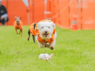 出張ペット撮影お任せください。