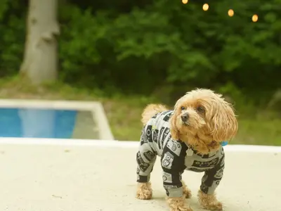 【年中無休、即納品】年間300件の実績と圧倒的な満足度！自然な魅力を引出すプロ