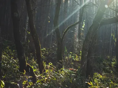 埼玉県◇朝8時から撮影可！企業様・アーティストの撮影実績多数！女性スタッフ在籍！