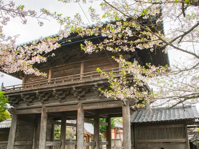 ご希望に柔軟対応！HP・SNS用の写真も！/急な撮影相談◎/スピード納品