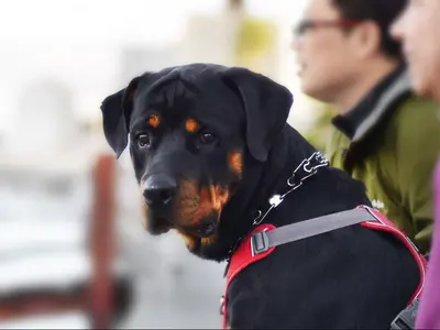 好きと物語を撮影。10年後そして20年後に新たな感動に出会える写真。