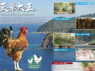 【熊本】店舗・会社 | 撮影からチラシ・パンフデザイン印刷｜全て格安でご提案！