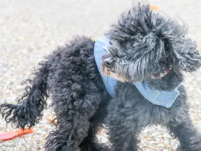 プロの技術でご満足いただけるように心を込めて撮影いたします