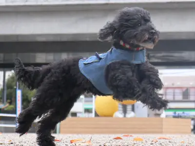 プロの技術でご満足いただけるように心を込めて撮影いたします