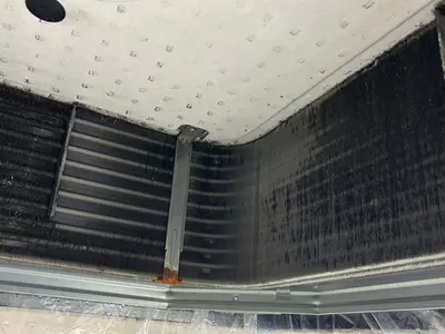 ★大掃除★丁寧作業で徹底洗浄♪ぜひとも私にお任せください！