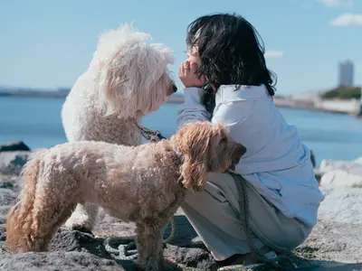 動物大好きだからこそ撮れる写真を！