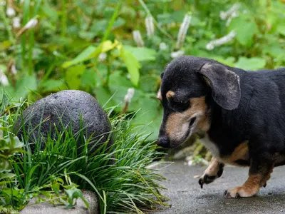 被写体の魅力を最大限に引き出します！年中無休の出張撮影サービス