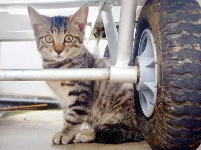 ＜40年の実績による確かな技術＞店長の私が必ず対応します！