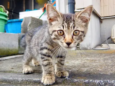 ＜40年の実績による確かな技術＞店長の私が必ず対応します！