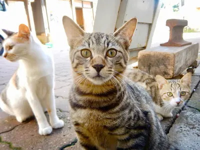 ＜40年の実績による確かな技術＞店長の私が必ず対応します！