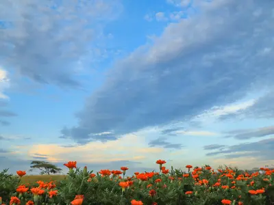 ◆店長の私がお伺いします！自然な雰囲気で撮影します◆営業時間外も対応OK