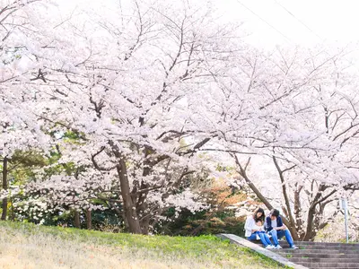 【プロならではの視点による一生の記念になる写真を】納品枚数200〜300枚！