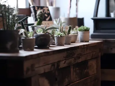 写真は一にして全。素敵な商品を素敵に撮ります