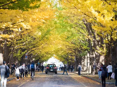ポートレート・カップルポートレート・家族ポートレートなど撮影可能◎
