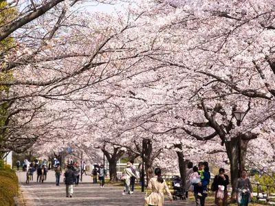 ポートレート・カップルポートレート・家族ポートレートなど撮影可能◎