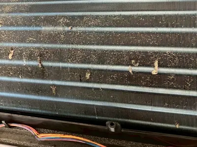 大手経験者による2年の実績！損害保険加入で安心の出張サービス