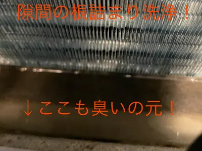 複数台割引実施中(^-^)年間1,000台以上の実績店！他店とは違うスピーディ差