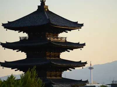 会社のMEO対策、PR用写真・動画撮影します！