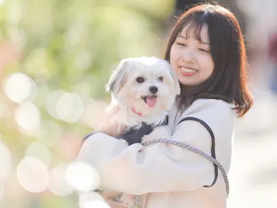 ペットとご家族の大切な瞬間を撮影。カット数無制限！ お急ぎなら翌日納品可