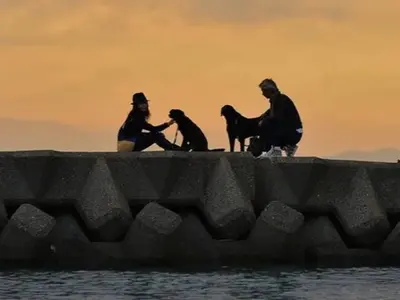 ペットとご家族の大切な瞬間を撮影。カット数無制限！ お急ぎなら翌日納品可