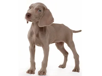 ◎業界歴32年!!◎作業の外注はございません、私が伺います ︎