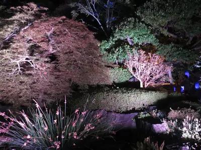 《業歴10年》撮影からデザインまで対応！各種会社・店舗・スタッフ撮影