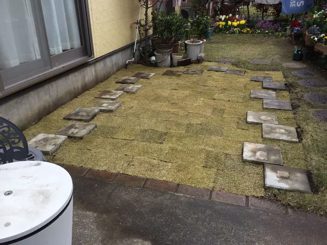 【林業経験10年】一級造園技能士がお伺い！理想のお庭づくりをお手伝いします◎サービスの画像