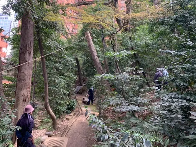 【創業35年】庭木の伐採、お任せ下さい！腕にはかなり自信があります！サービスの画像