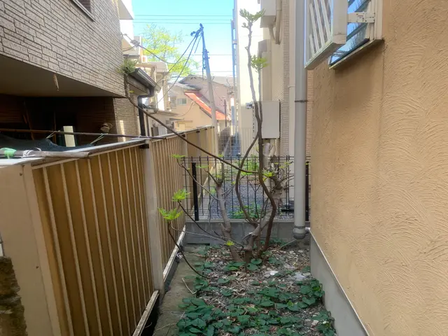 【創業35年】庭木の伐採、お任せ下さい！腕にはかなり自信があります！サービスの画像