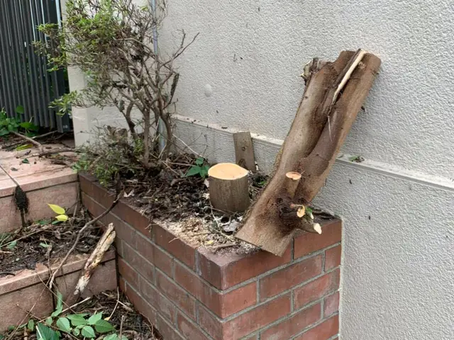 【創業35年】庭木の伐採、お任せ下さい！腕にはかなり自信があります！サービスの画像