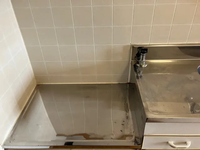 ◆気になるシンク・コンロの汚れをスッキリ！料理・洗い物も気持ち良く進行したい方へサービスの画像