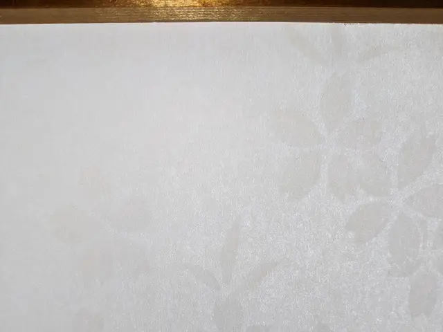 1枚からでも出張張り替え！お任せ下さい！損害保険加入店！サービスの画像