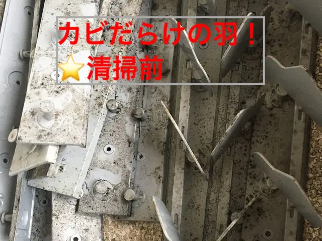 業務用エアコン分解洗浄！中のカビやウイルスを完全除去！サービスの画像