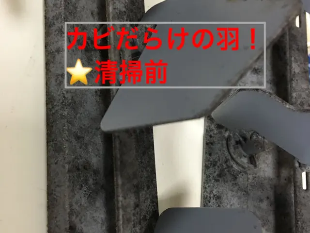 業務用エアコン分解洗浄！中のカビやウイルスを完全除去！サービスの画像