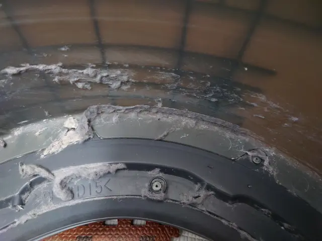 カビ臭い除去、乾燥機能復活☆洗濯槽を外す完全分解対応可◎ヒートポンプ清掃対応可☆サービスの画像