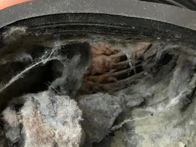 カビ臭い除去、乾燥機能復活☆洗濯槽を外す完全分解対応可◎ヒートポンプ清掃対応可☆サービスの画像