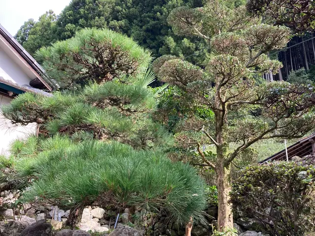 植木屋歴26年、桝谷造園は夫婦2人で運営している小さなお店です。一級造園技能士保サービスの画像