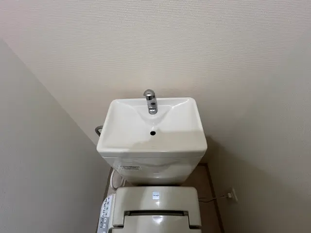 【9月新規出店！ワックス施工サービス】損害保険加入！隅々まで綺麗にいたしますサービスの画像