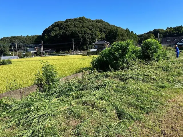 草刈りのご依頼お待ちしておりますサービスの画像