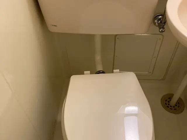 【作業実績300件以上】便器の尿石や黄ばみをスッキリ綺麗！プロにお任せ！サービスの画像