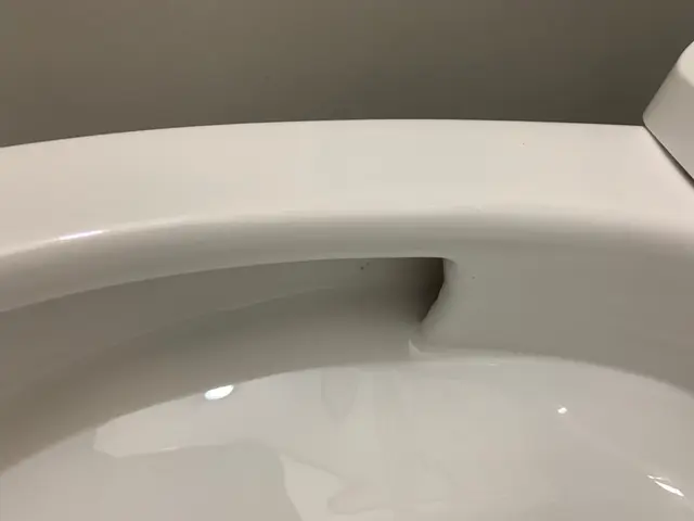 【作業実績300件以上】便器の尿石や黄ばみをスッキリ綺麗！プロにお任せ！サービスの画像